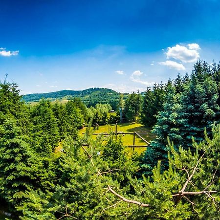 Agroturystyka Kapellanka - Kraina Wygaslych Wulkanow Wojcieszów Exteriér fotografie