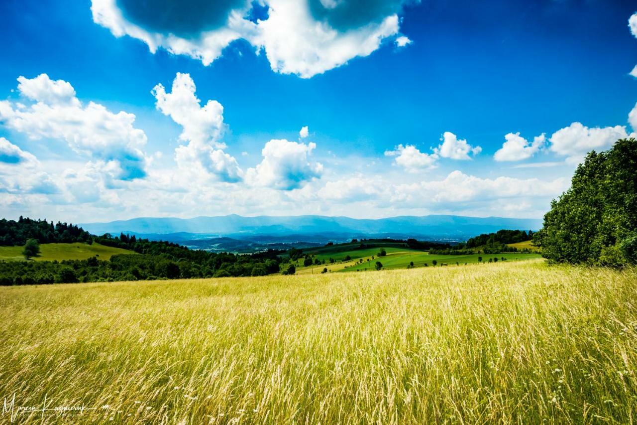Agroturystyka Kapellanka - Kraina Wygaslych Wulkanow Wojcieszów Exteriér fotografie